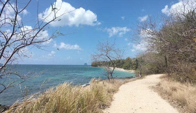Felix, T2 Acces Plage Gros-Raisins Sainte-Luce Buitenkant foto